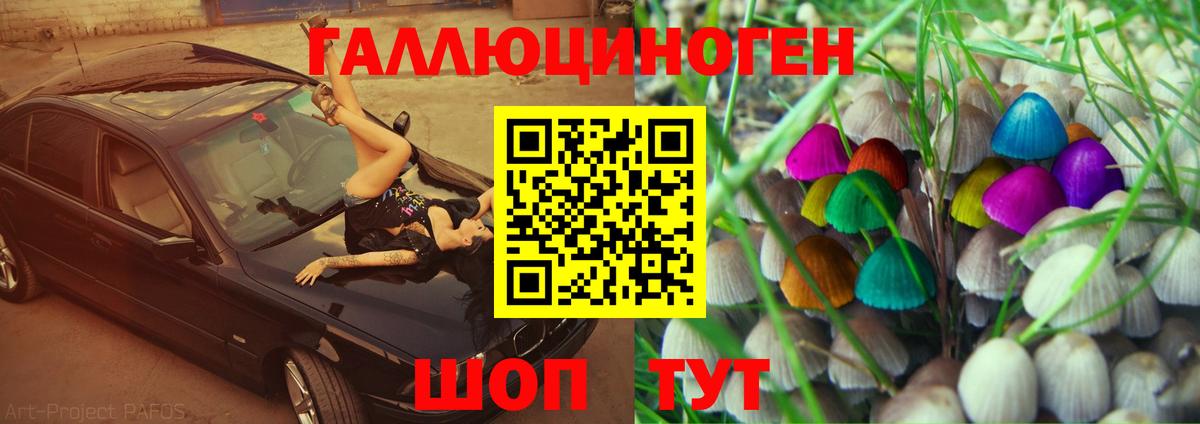 Галлюциногенные грибы Magic Shrooms Норильск